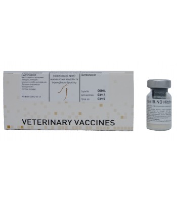 Вакцина vaxx: on IB ND HITCHNER B1 живая против болезни Ньюкасла и инфекционного бронхита